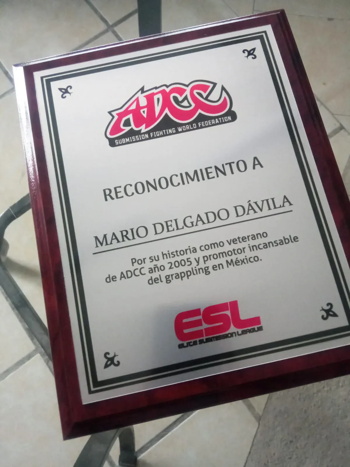 Material rígido para reconocimientos deportivos